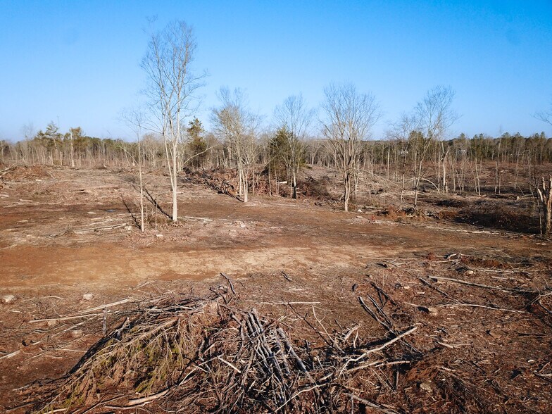 More Photos Of US Highway 45, Saltillo Land For Sale