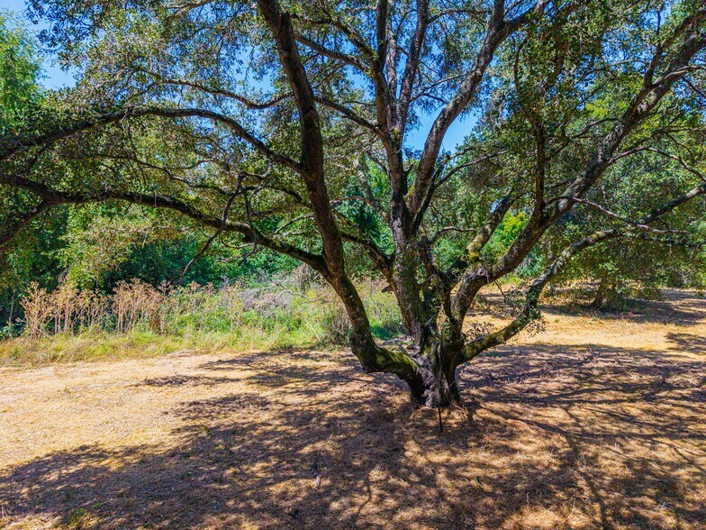 More Photos Of 1866 Silverado Trl, Napa Land For Sale