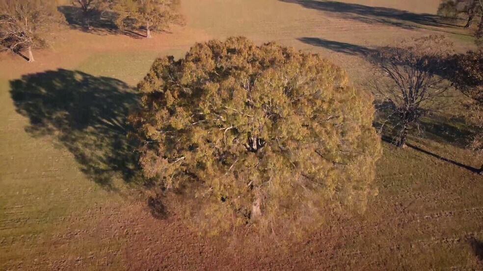 More Photos Of 1649 Flowood Dr, Flowood Land For Sale