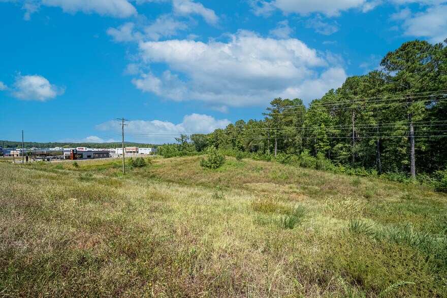 More Photos Of 115-145 Mcs Blvd, Sylacauga General Retail For Lease