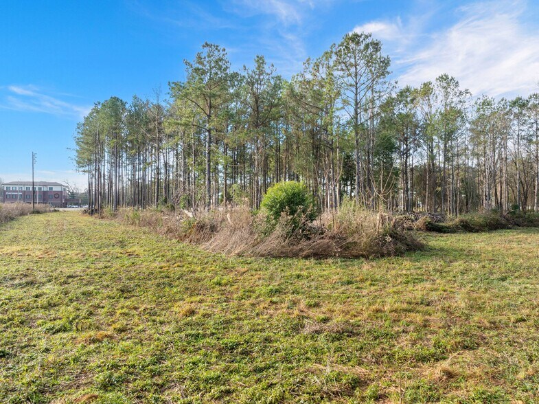 More Photos Of 1115 Evelyn Gandy Pky, Petal Land For Sale