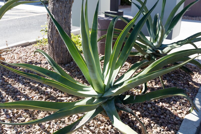 More Photos Of 9059 W Lake Pleasant Pky, Peoria Office For Lease