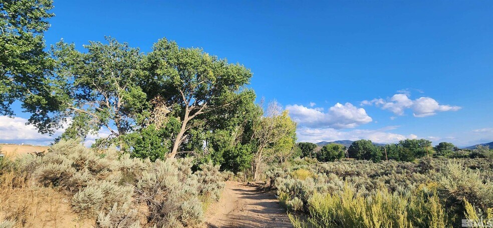 More Photos Of 5155 US Highway 50, Carson City Land For Sale