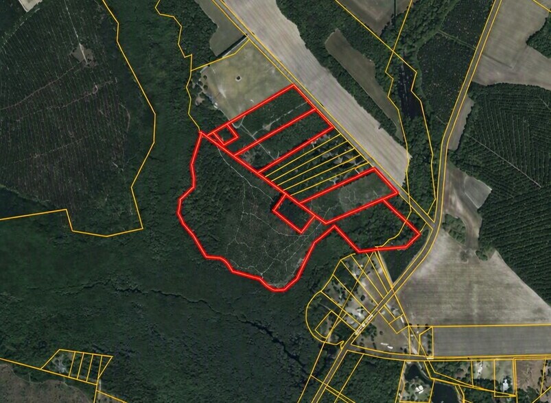 Primary Photo Of McNeill Lake Rd, Lumber Bridge Land For Sale