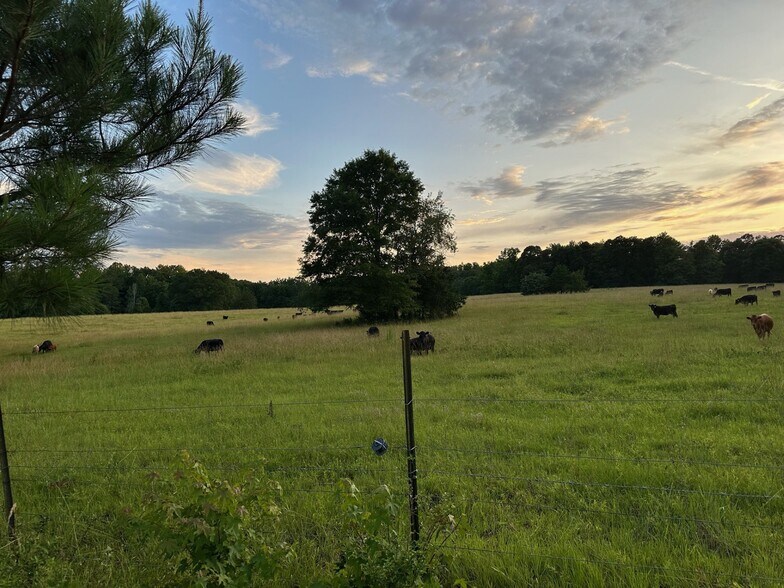 More Photos Of 4091 Hollonville Rd, Williamson Land For Sale