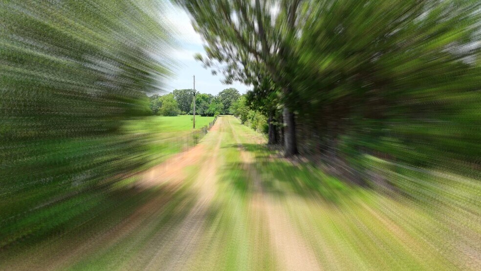 Primary Photo Of 11373 Colcleasure Rd, Fayetteville Land For Sale