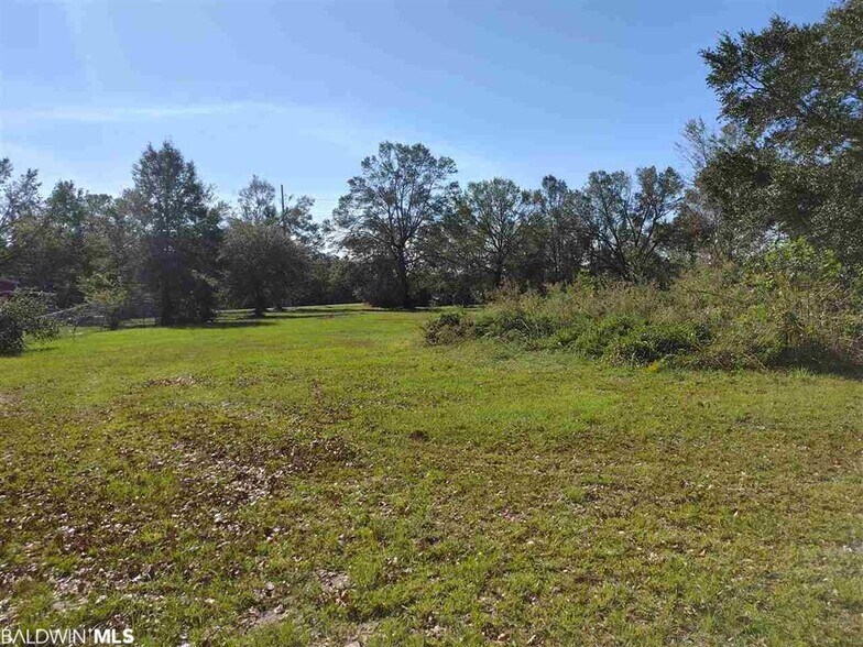 More Photos Of 33019 US Hwy 98 E, Lillian Land For Sale