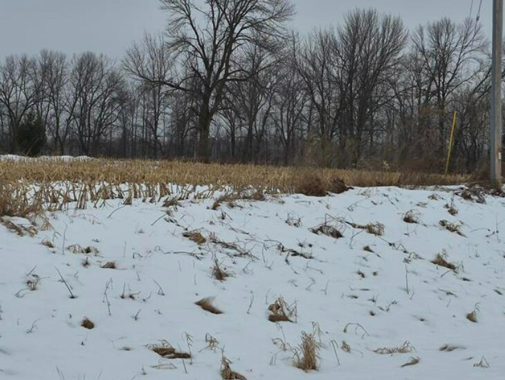 More Photos Of Hwy EE & Hwy 41/141, Abrams Land For Sale