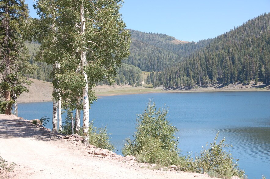 More Photos Of Lake Beaver E, Beaver Land For Sale