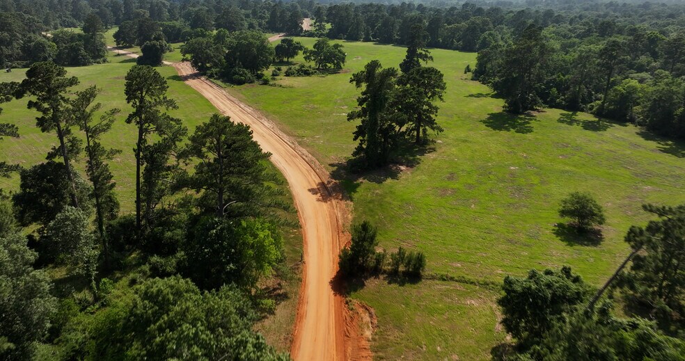 More Photos Of 2268 FM 1486, Montgomery Land For Sale