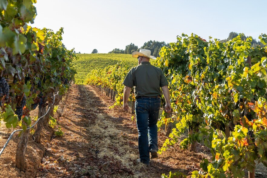 More Photos Of 13700 Rockpile Rd, Geyserville Land For Sale