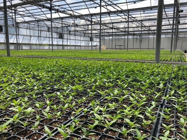 More Photos Of 609-621 E Maple Ave, Newark Light Manufacturing For Sale