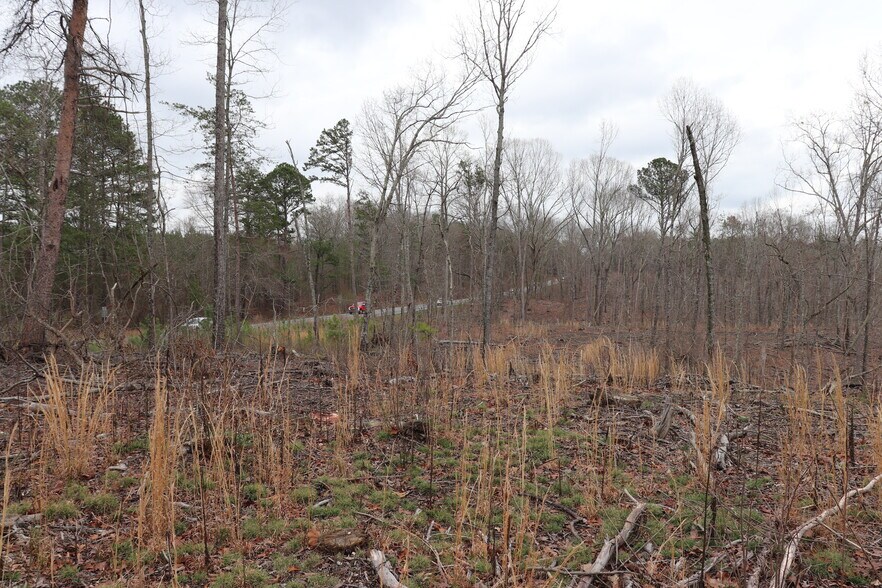 More Photos Of Knox Bridge Hwy @ Knox Bridge & Ficklen Church Hwy, Canton Land For Sale