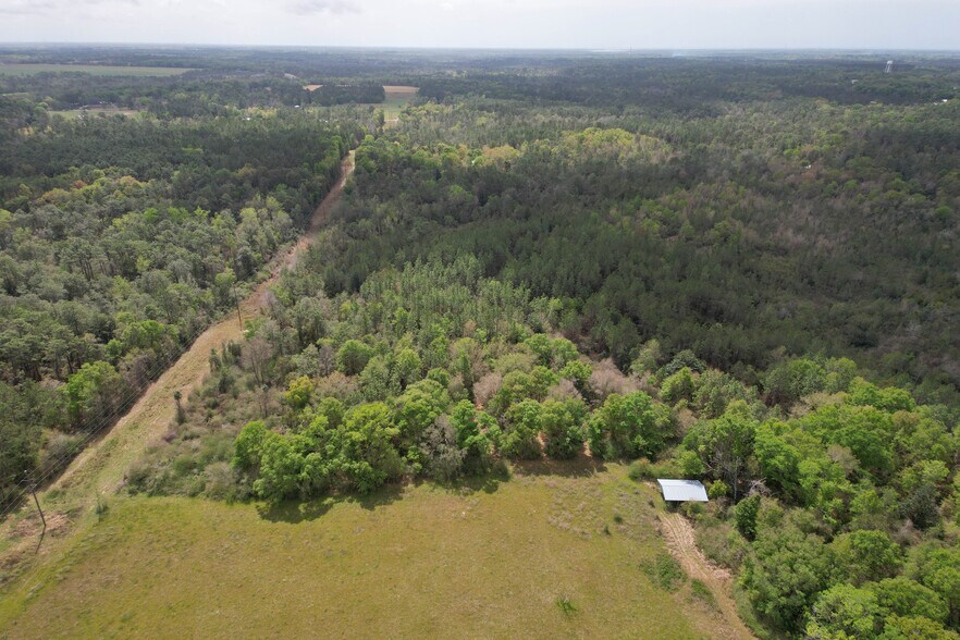 More Photos Of 12960 County Road 48, Silverhill Land For Sale
