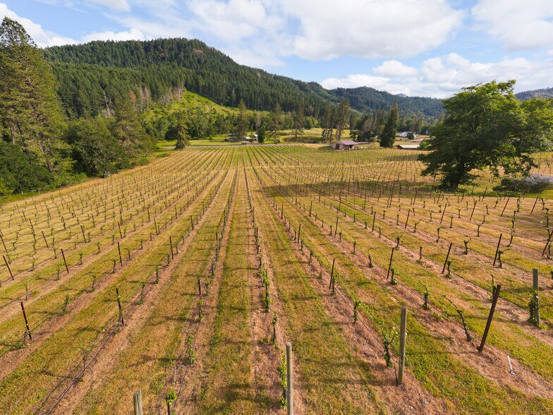 More Photos Of 1329 Larson Rd, Roseburg Winery Vineyard For Sale