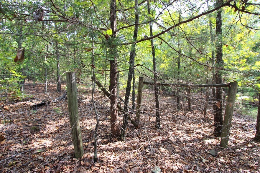 More Photos Of 226 Blythe rd, Greenbrier Land For Sale