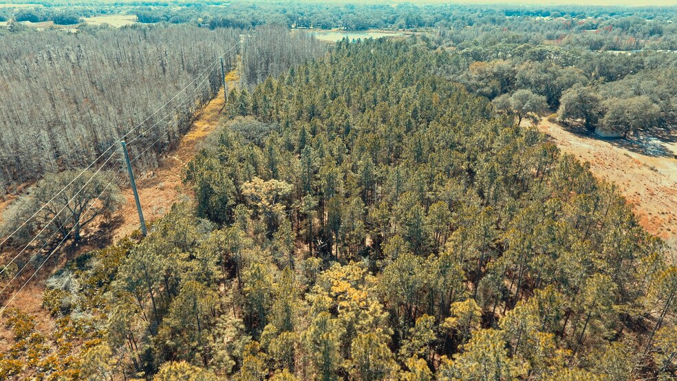 More Photos Of 30607 State Road 54, Wesley Chapel Land For Sale