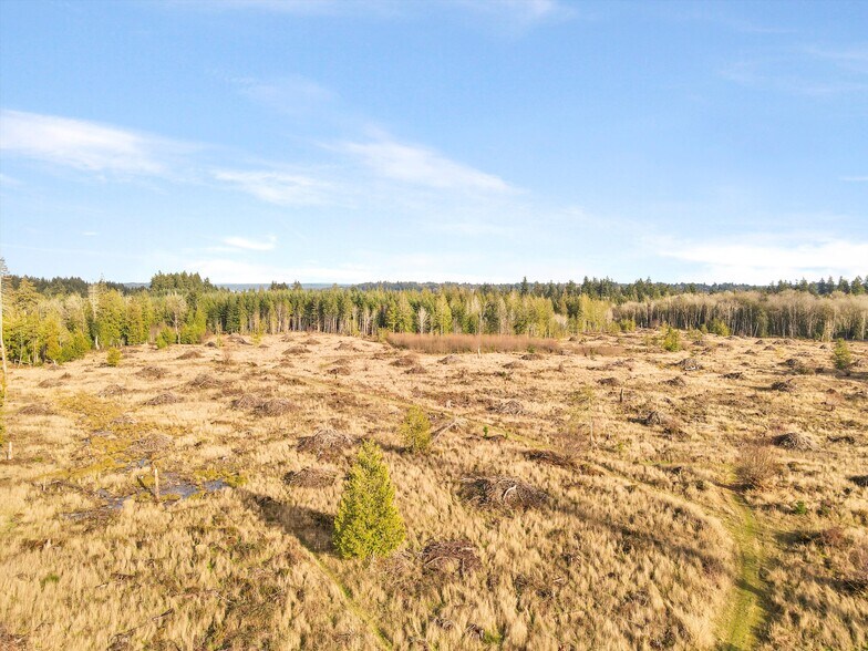 More Photos Of XXX Gravelly Beach Loop, Olympia Land For Sale