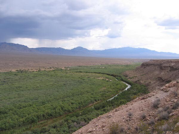 More Photos Of 590 N Virgin Acres Blvd, Littlefield Land For Sale