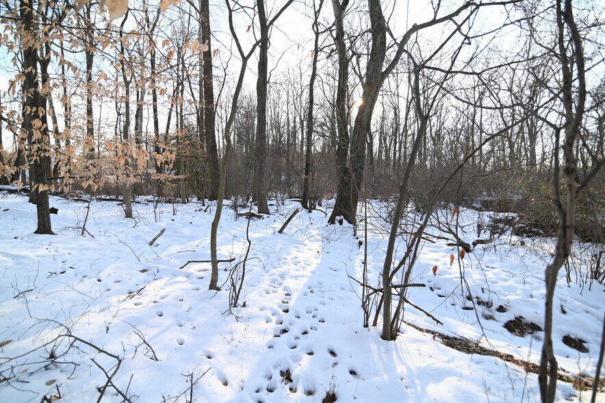 More Photos Of Cherryfield Rd @ Brinkley Rd`, Fort Washington Land For Sale