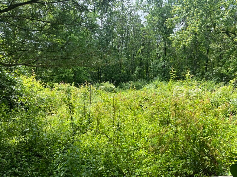 More Photos Of 2806 Morris Rd, Lansdale Land For Sale