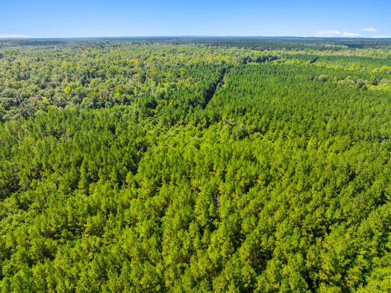 More Photos Of 7471 Highway 155, Saline Land For Sale