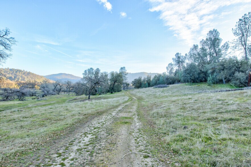 More Photos Of 50871 Road 200, O Neals Land For Sale
