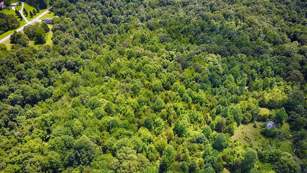 More Photos Of 518 Southside Rd, Cunningham Land For Sale