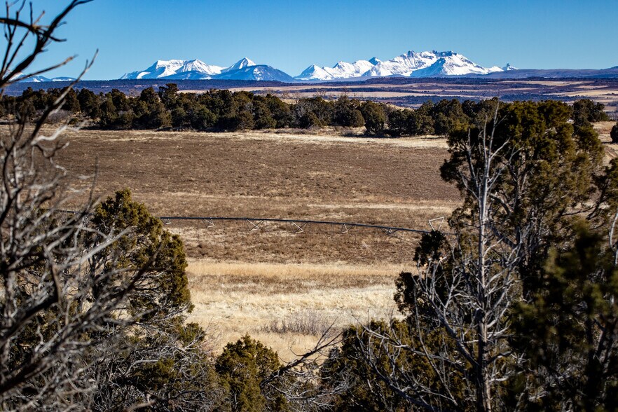 More Photos Of 19234 Road 16 & 19444 Road 16.5 Rd, Yellow Jacket Land For Sale