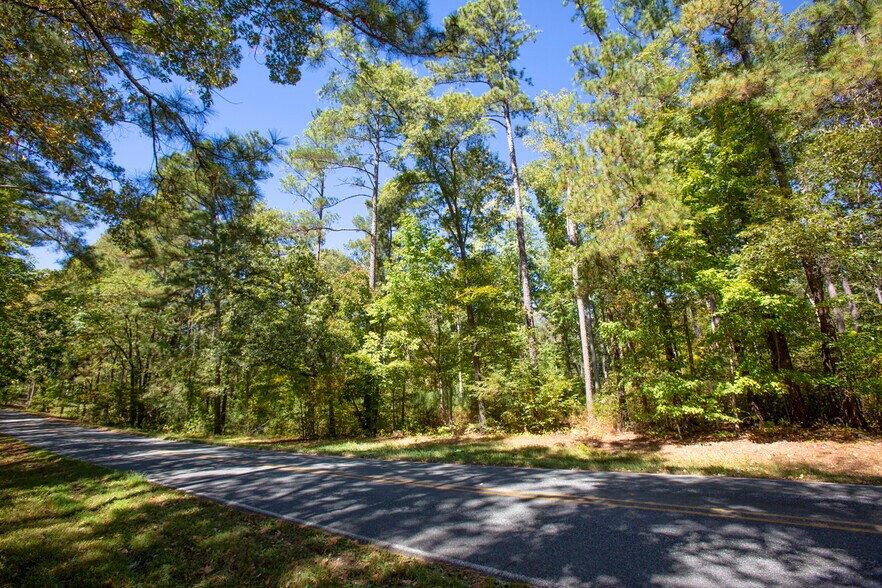 More Photos Of Walter Bright Road & 15-501, Sanford Land For Sale