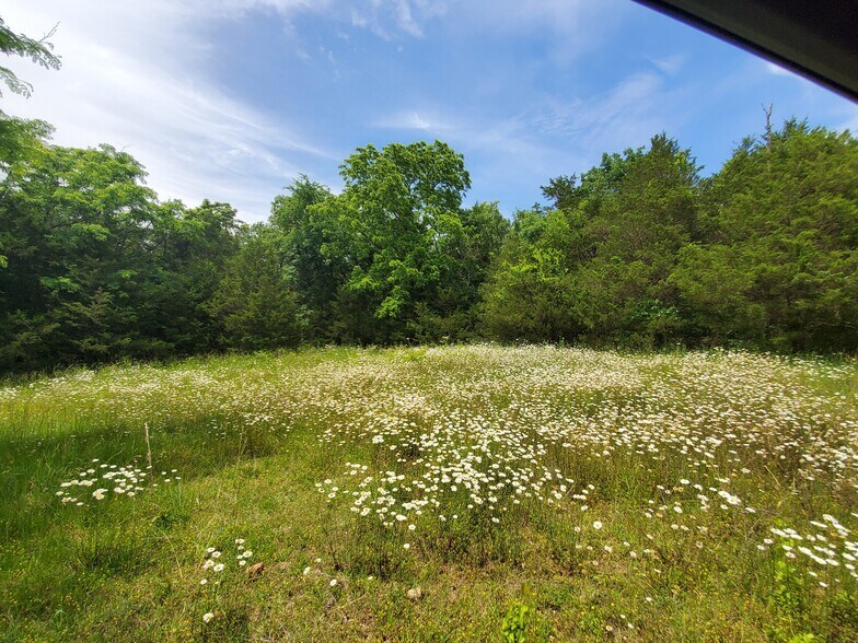 More Photos Of CR 211, Eureka Springs Land For Sale