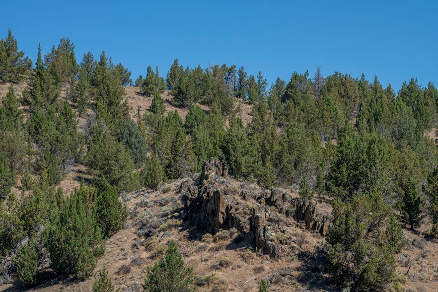 More Photos Of 32611 Tackman Rd, Prineville Land For Sale
