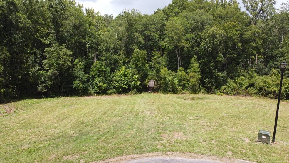 More Photos Of 2143 Charter Pointe Way, Middleburg Land For Sale