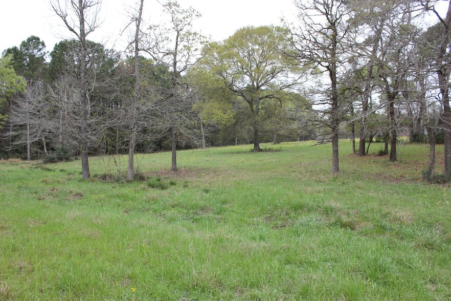 More Photos Of 16046 Honea Rd W, Montgomery Land For Sale