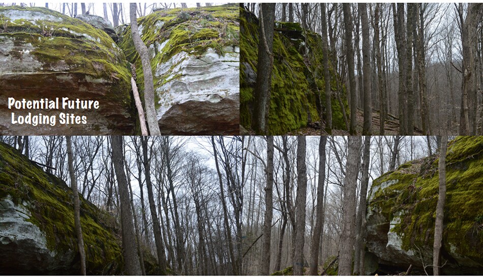 More Photos Of 635 Robinson Hill Rd, Makanda Sports And Entertainment For Sale