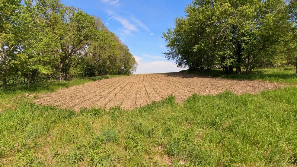 More Photos Of TBD 31st NW Ave @ HWY 52/75th Street NW, Oronoco Land For Sale