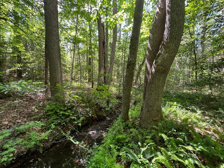 More Photos Of 00 00 Youngstown Rd, Goochland Land For Sale