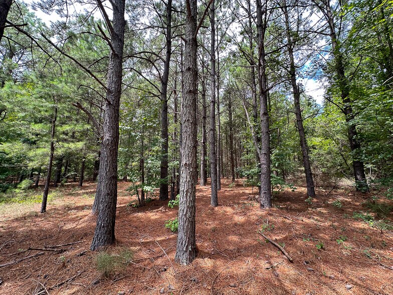 More Photos Of US 401 S Hwy, Youngsville Land For Sale