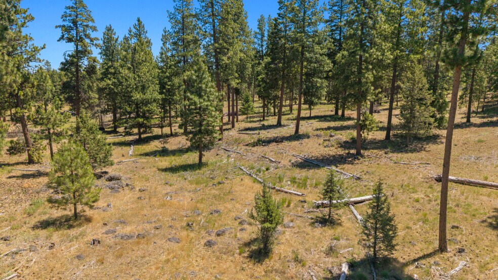 More Photos Of 0 Blue Wing Street, Keno Land For Sale
