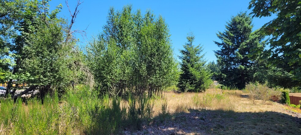 More Photos Of 6415-6433 Carpenter Rd SE, Lacey Land For Sale