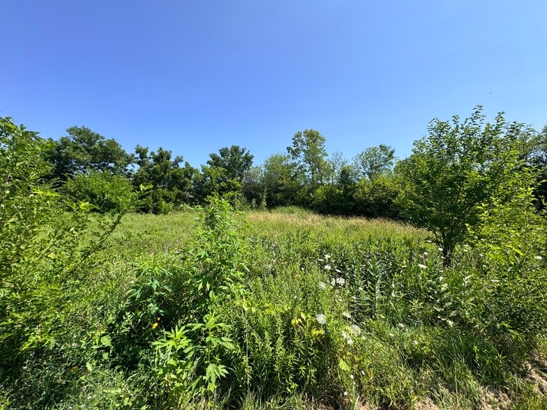 More Photos Of 1120 W Spring St, South Elgin Land For Sale