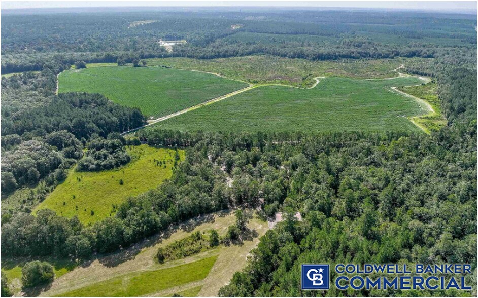 More Photos Of 1340 Clayton Rd, Ridge Spring Land For Sale