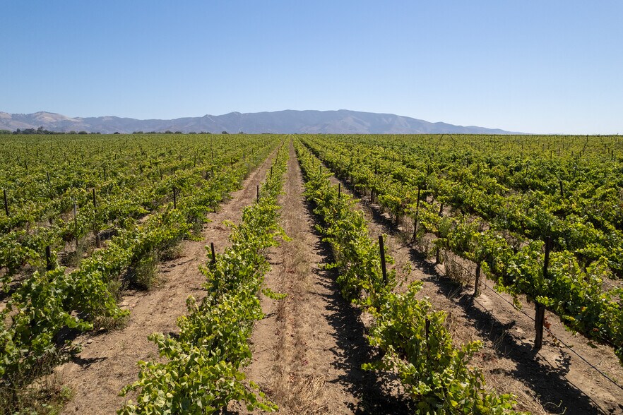 More Photos Of 32498 Gloria Road, Gonzales Land For Sale