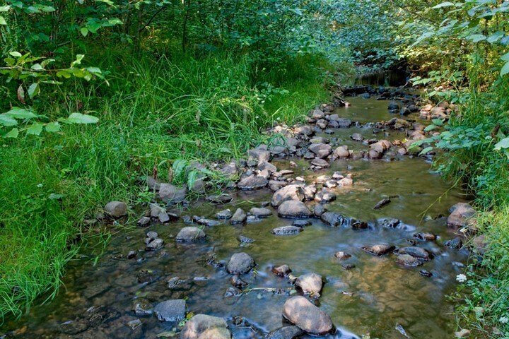 More Photos Of 66845 N Nehalem Hwy, Vernonia Land For Sale