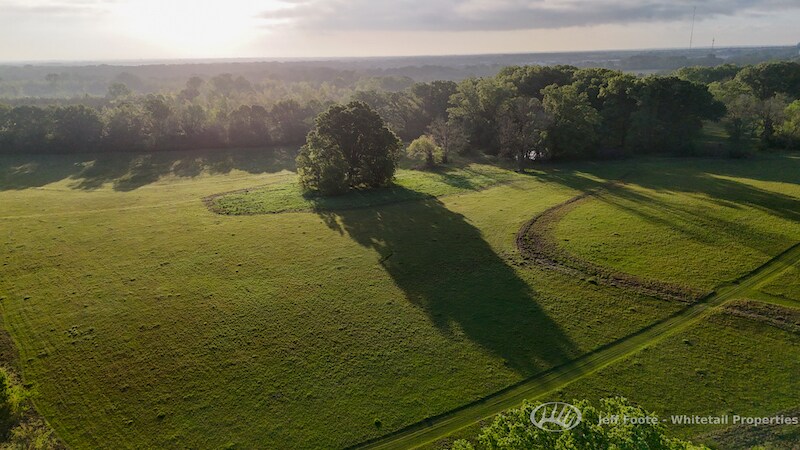More Photos Of TBD Virlilia Rd, Canton Land For Sale