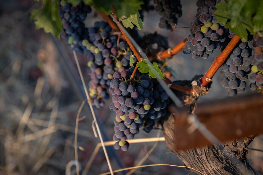 More Photos Of 0 Ragatz Lane, Napa Land For Sale