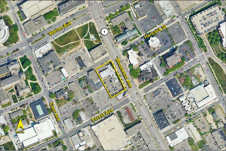 More Photos Of 4747 Woodward Ave, Detroit Medical For Sale