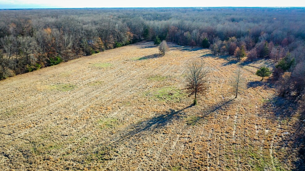 More Photos Of 1200 County 1255 rd, Detroit Land For Sale