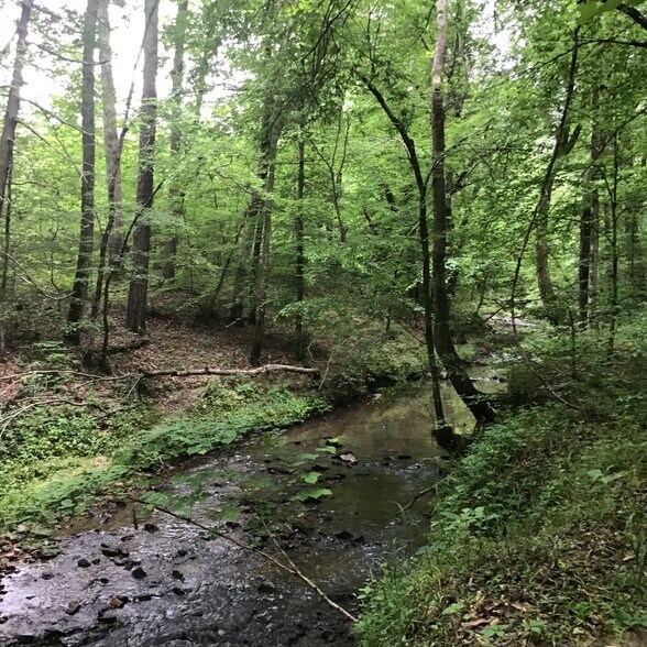More Photos Of 0 Tom Wright Rd, Franklinton Land For Sale