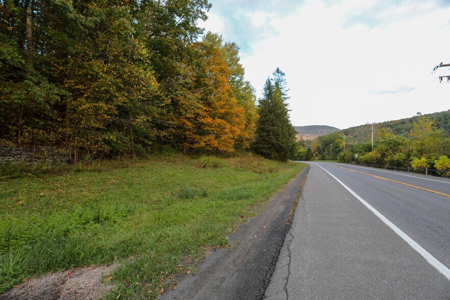 More Photos Of TBD NY-28, Phoenicia Land For Sale